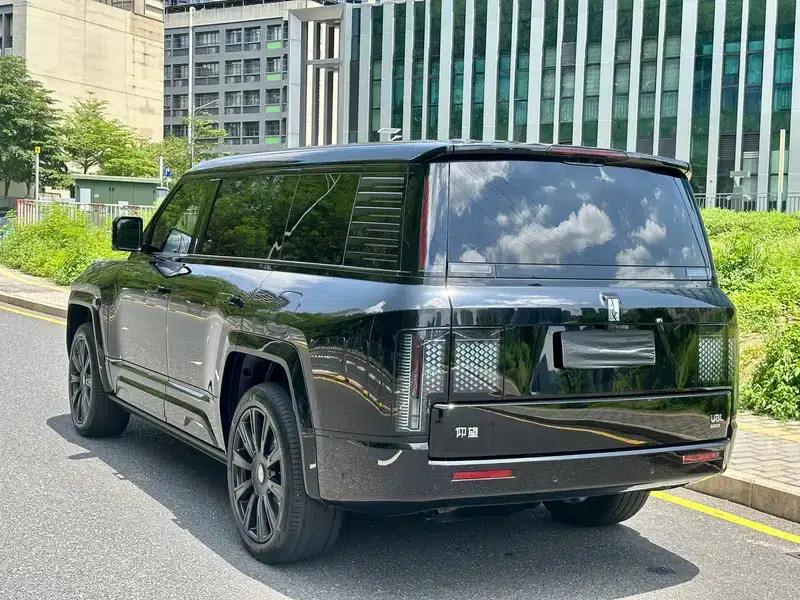 Looking up at the 2025 U8L Dingshi Edition — миниатюра 5