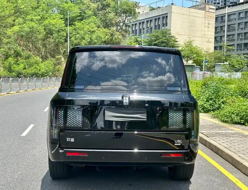 Looking up at the 2025 U8L Dingshi Edition — миниатюра 6