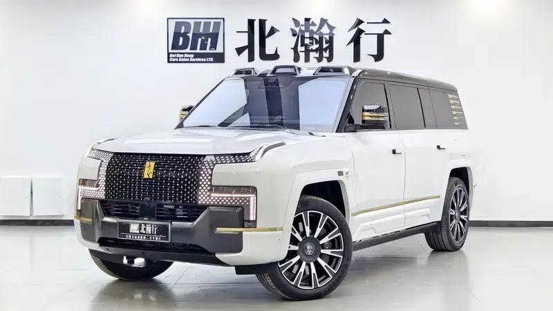 Looking up at the 2025 U8L Dingshi Edition — миниатюра 1