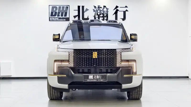 Looking up at the 2025 U8L Dingshi Edition — миниатюра 2