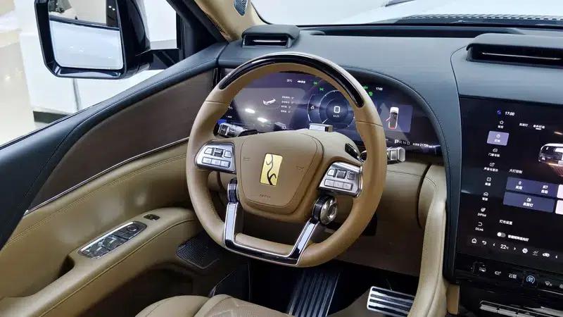 Looking up at the 2025 U8L Dingshi Edition — миниатюра 18