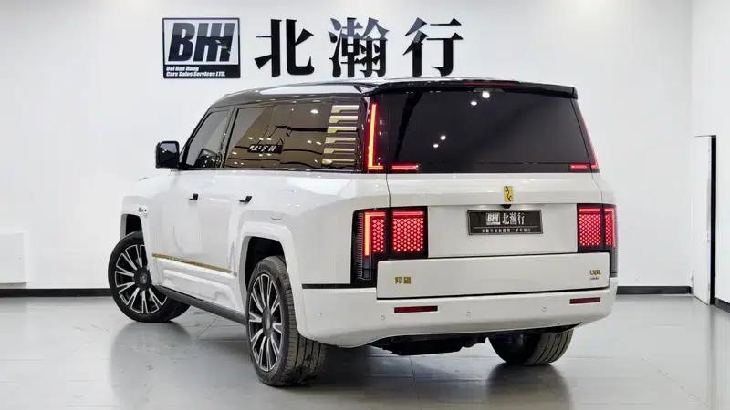 Looking up at the 2025 U8L Dingshi Edition — миниатюра 4