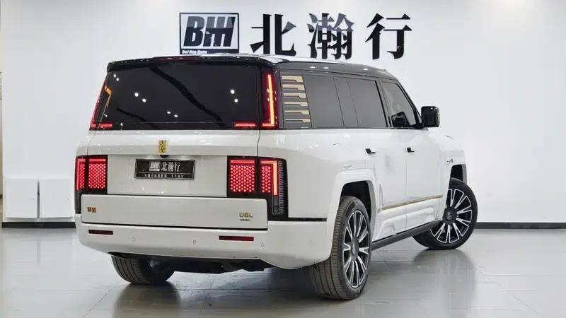 Looking up at the 2025 U8L Dingshi Edition — миниатюра 6