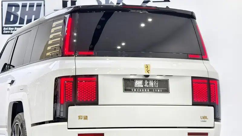 Looking up at the 2025 U8L Dingshi Edition — миниатюра 9