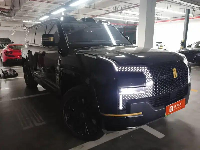Looking up at the 2025 U8L Dingshi Edition — миниатюра 2