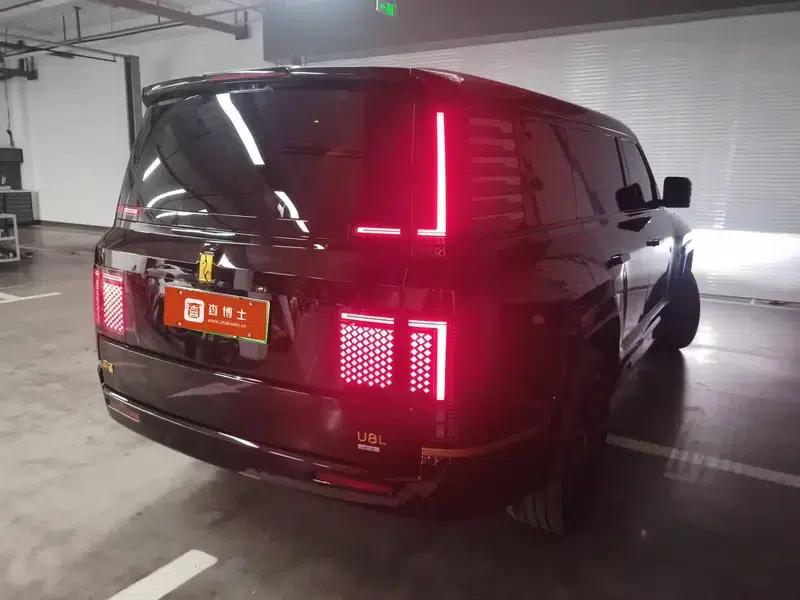 Looking up at the 2025 U8L Dingshi Edition — миниатюра 4