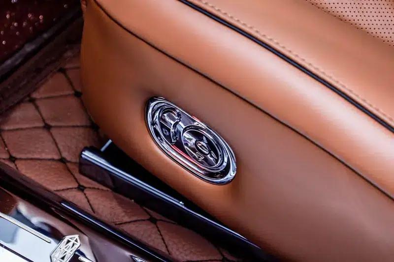 2025 S800 Premium Range Extended Star Executive Edition (4-seater) — миниатюра 18