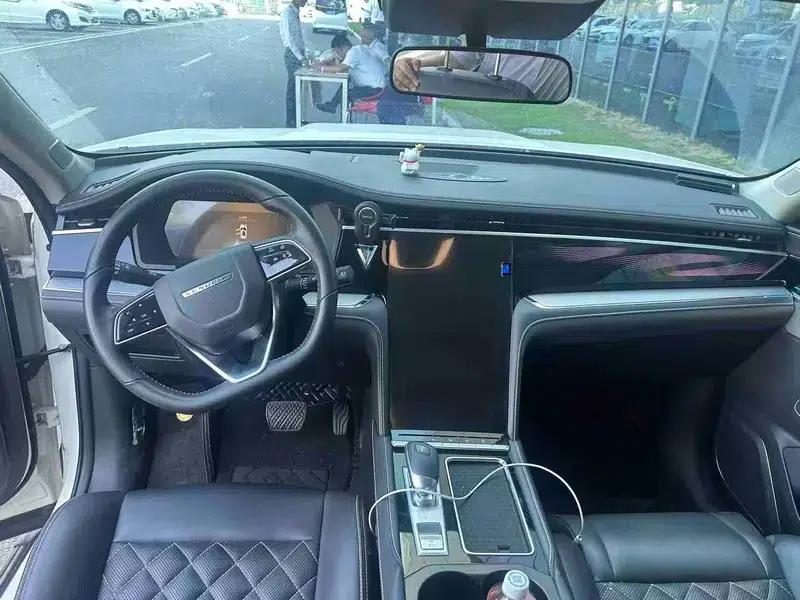 Venucia Star 2022 260T 48V Mild Hybrid Turbocharged Star Edition — миниатюра 6