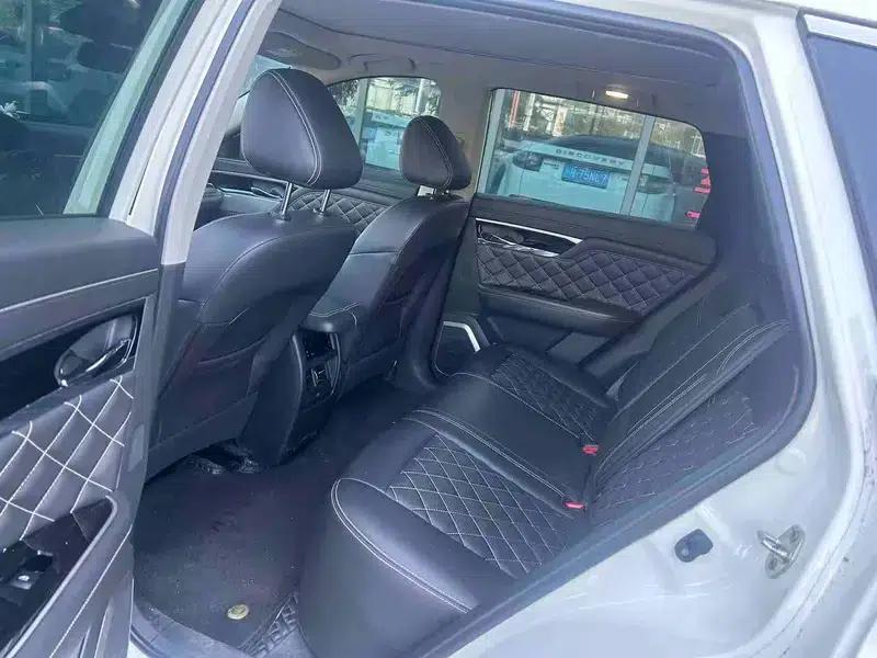 Venucia Star 2022 260T 48V Mild Hybrid Turbocharged Star Edition — миниатюра 9