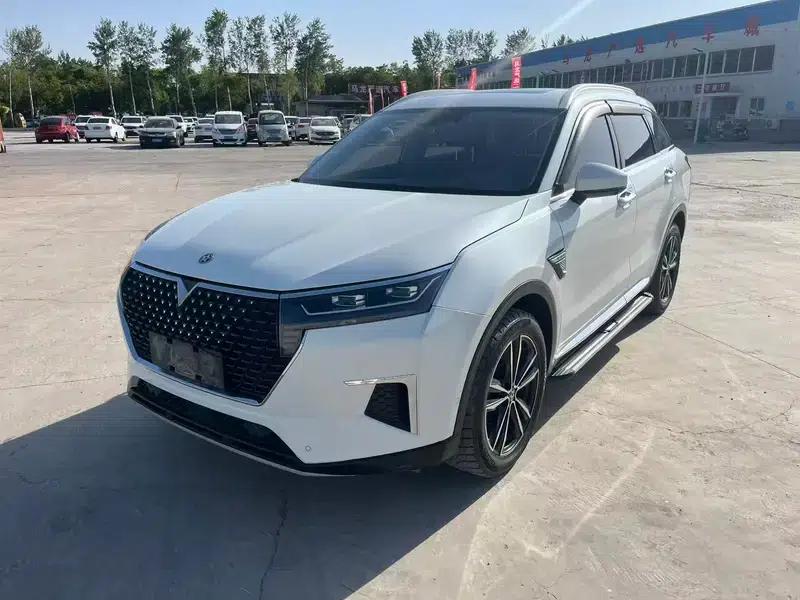 Venucia Star 2020 260T 48V Mild Hybrid Turbocharged Star Edition — миниатюра 1