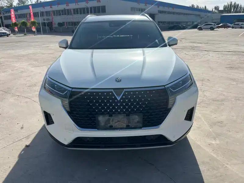 Venucia Star 2020 260T 48V Mild Hybrid Turbocharged Star Edition — миниатюра 2