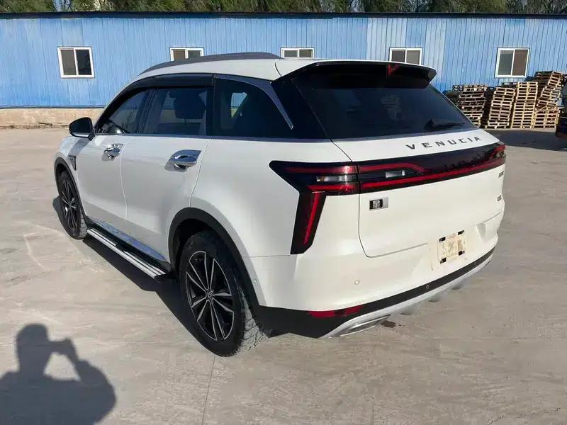 Venucia Star 2020 260T 48V Mild Hybrid Turbocharged Star Edition — миниатюра 4