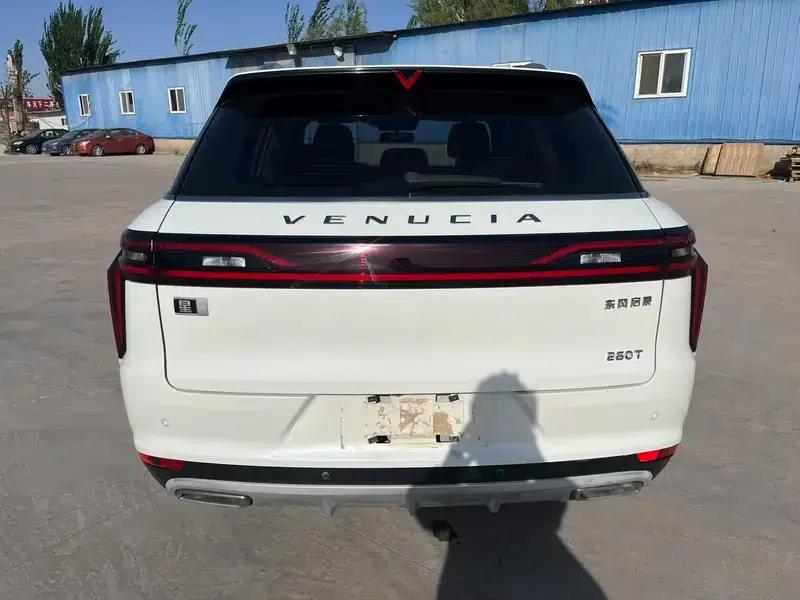 Venucia Star 2020 260T 48V Mild Hybrid Turbocharged Star Edition — миниатюра 5