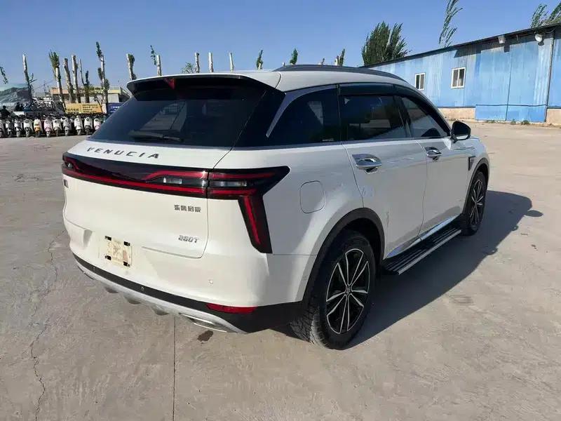 Venucia Star 2020 260T 48V Mild Hybrid Turbocharged Star Edition — миниатюра 6