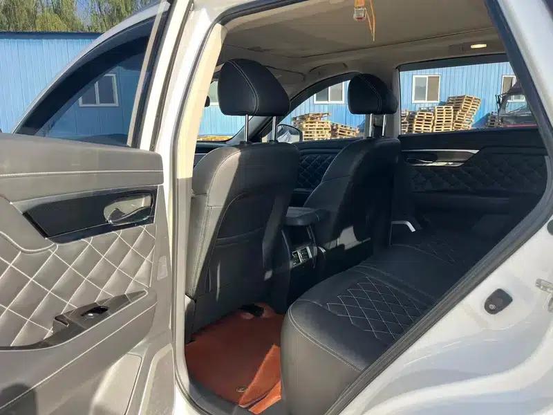 Venucia Star 2020 260T 48V Mild Hybrid Turbocharged Star Edition — миниатюра 9