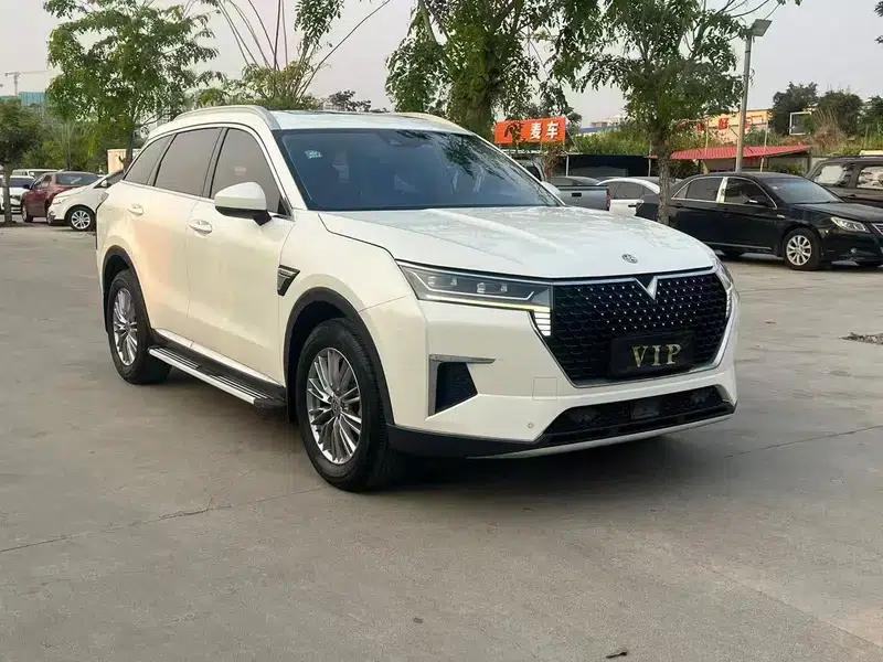 Venucia Star 2022 260T 48V Mild Hybrid Turbocharged Star Enjoyment Edition — миниатюра 3