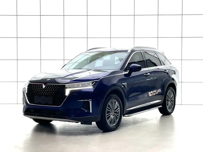 Venucia Star 2022 260T 48V Mild Hybrid Turbocharged Star Enjoyment Edition — миниатюра 1