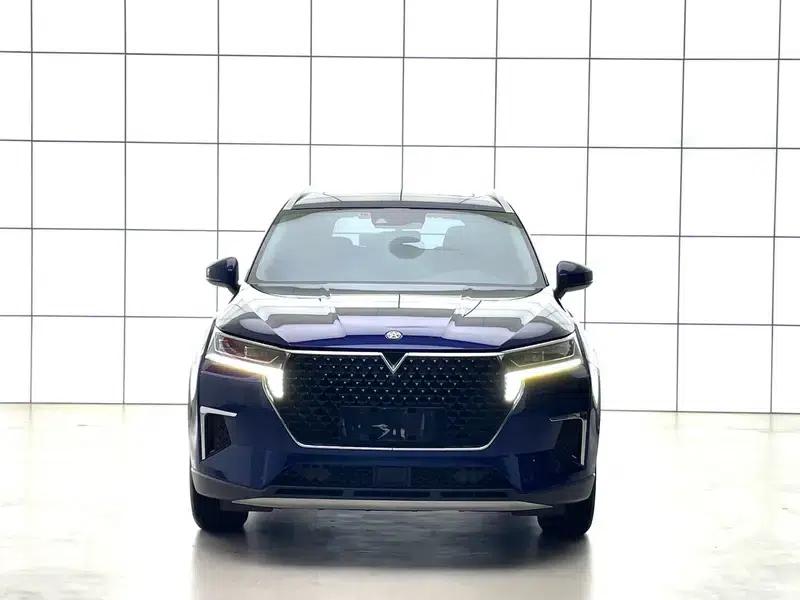 Venucia Star 2022 260T 48V Mild Hybrid Turbocharged Star Enjoyment Edition — миниатюра 2