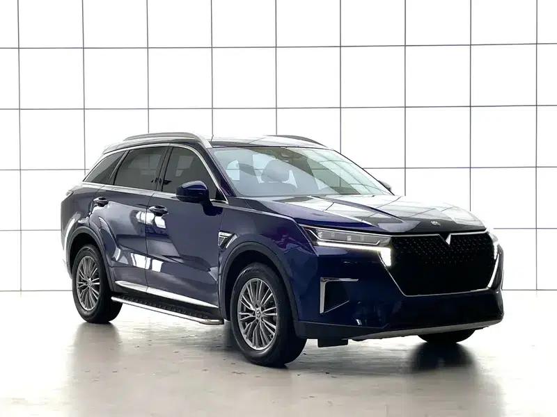 Venucia Star 2022 260T 48V Mild Hybrid Turbocharged Star Enjoyment Edition — миниатюра 3