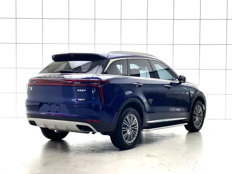 Venucia Star 2022 260T 48V Mild Hybrid Turbocharged Star Enjoyment Edition — миниатюра 7