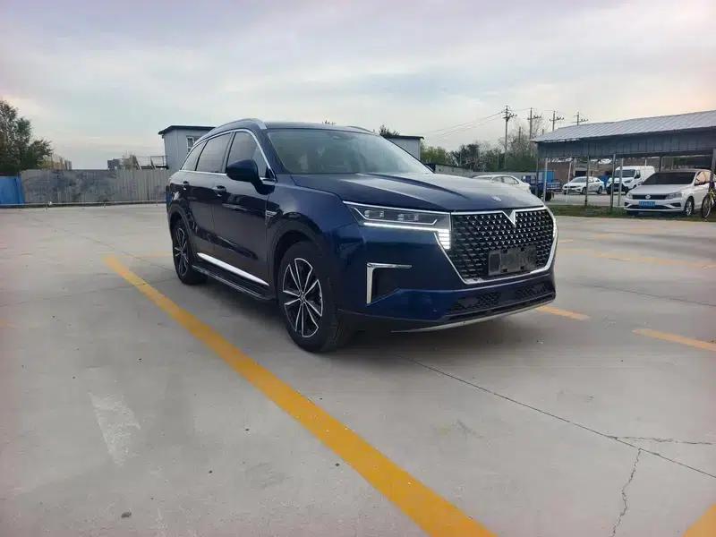 Venucia Star 2020 260T 48V Mild Hybrid Turbocharged Star Edition — миниатюра 3