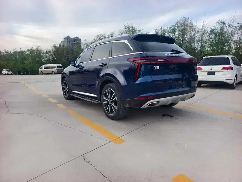 Venucia Star 2020 260T 48V Mild Hybrid Turbocharged Star Edition — миниатюра 4