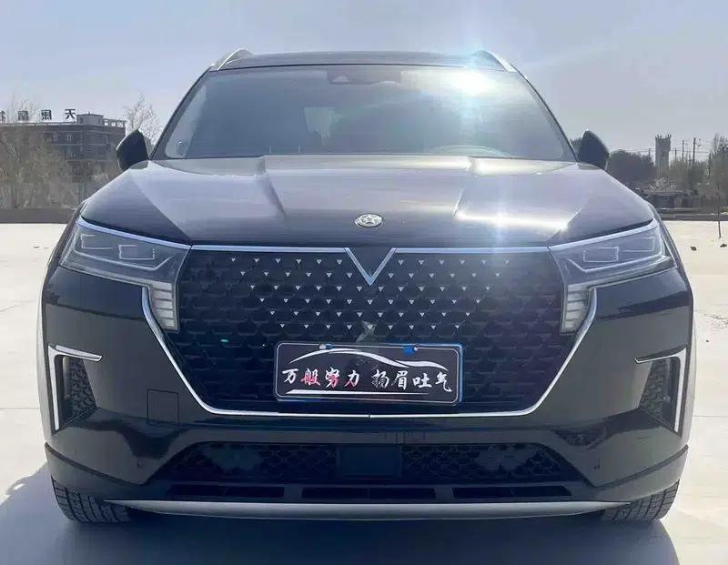 Venucia Star 2022 260T 48V Mild Hybrid Turbocharged Star Enjoyment Edition — миниатюра 2