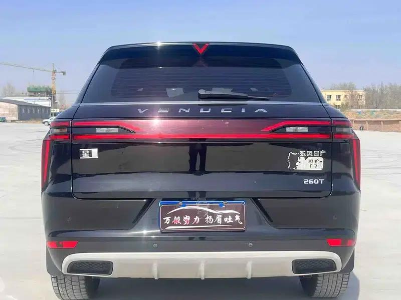 Venucia Star 2022 260T 48V Mild Hybrid Turbocharged Star Enjoyment Edition — миниатюра 5