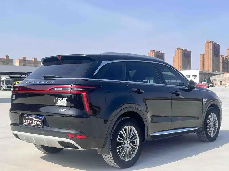 Venucia Star 2022 260T 48V Mild Hybrid Turbocharged Star Enjoyment Edition — миниатюра 6