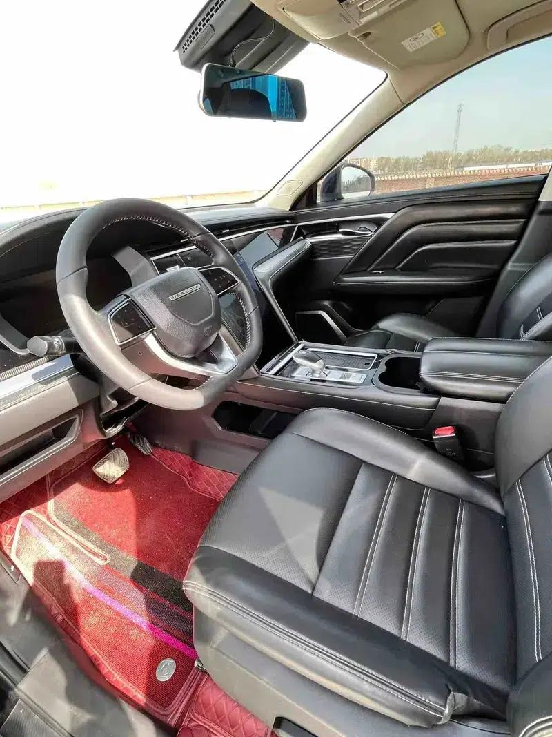Venucia Star 2022 260T 48V Mild Hybrid Turbocharged Star Enjoyment Edition — миниатюра 7