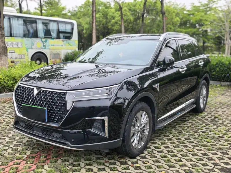 Venucia Star 2022 260T 48V Mild Hybrid Turbocharged Star Enjoyment Edition — миниатюра 1