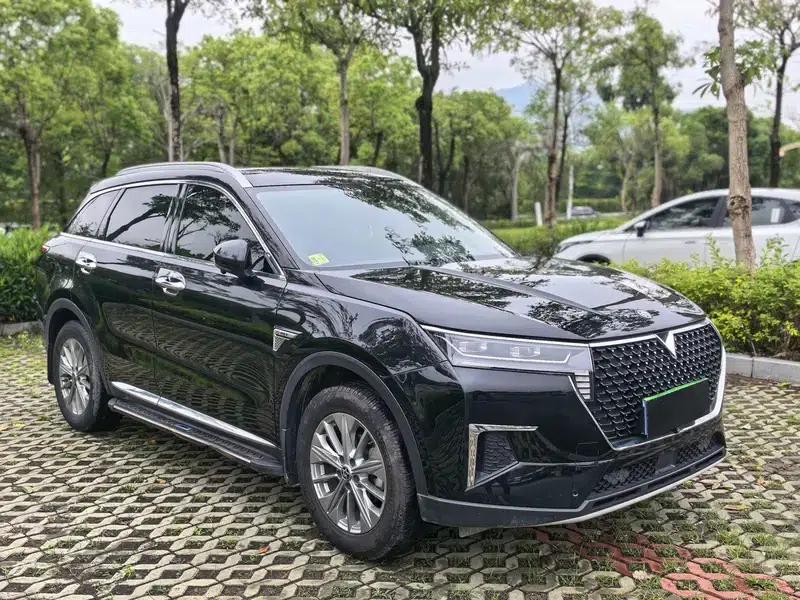 Venucia Star 2022 260T 48V Mild Hybrid Turbocharged Star Enjoyment Edition — миниатюра 3