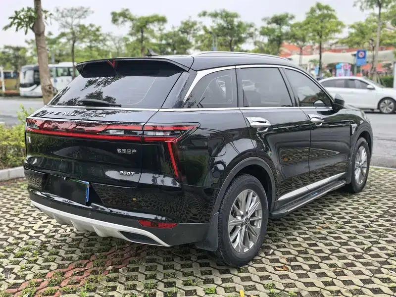 Venucia Star 2022 260T 48V Mild Hybrid Turbocharged Star Enjoyment Edition — миниатюра 6