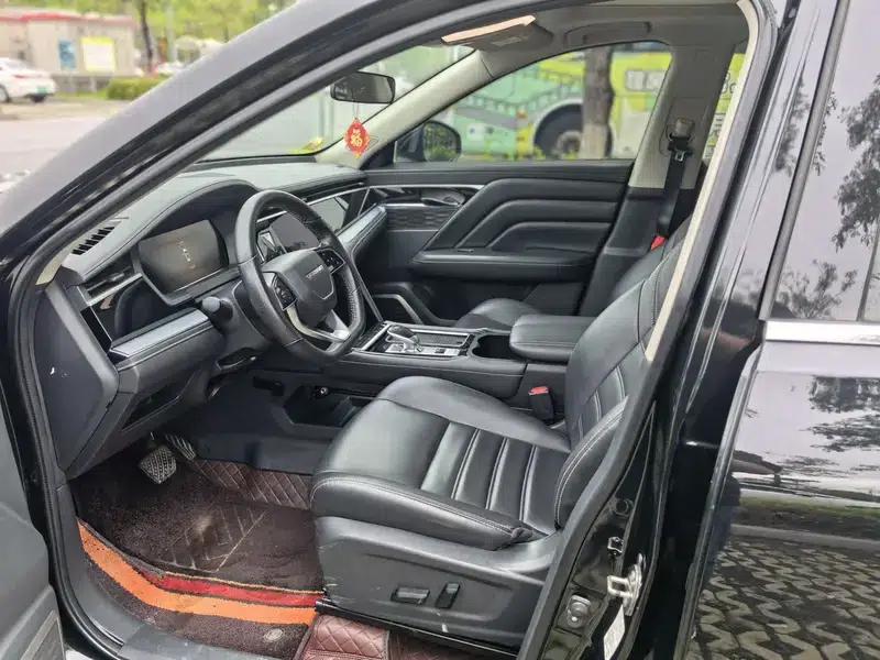 Venucia Star 2022 260T 48V Mild Hybrid Turbocharged Star Enjoyment Edition — миниатюра 8