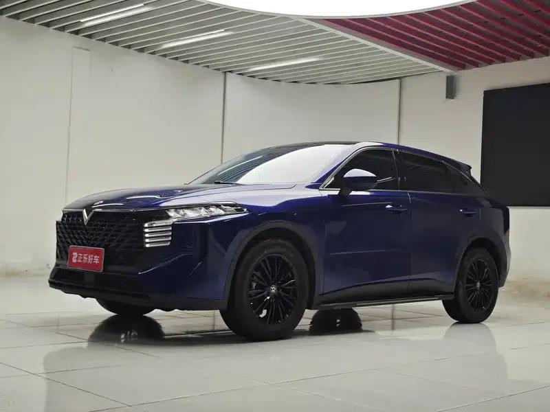 Venucia Star 2023 260T Star Edition Pro — миниатюра 1