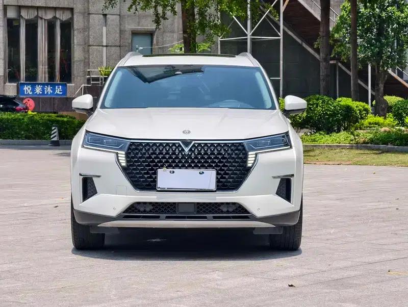 Venucia Star 2022 260T 48V Mild Hybrid Turbocharged Star Edition — миниатюра 2