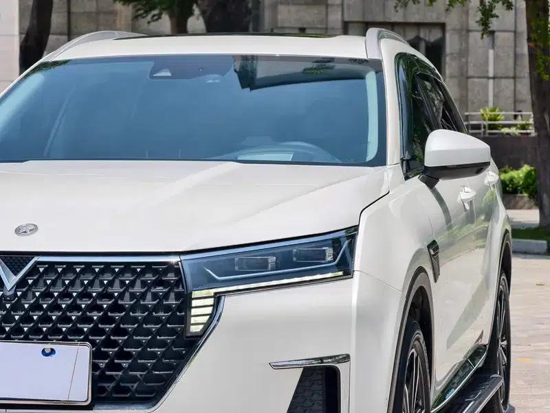 Venucia Star 2022 260T 48V Mild Hybrid Turbocharged Star Edition — миниатюра 11