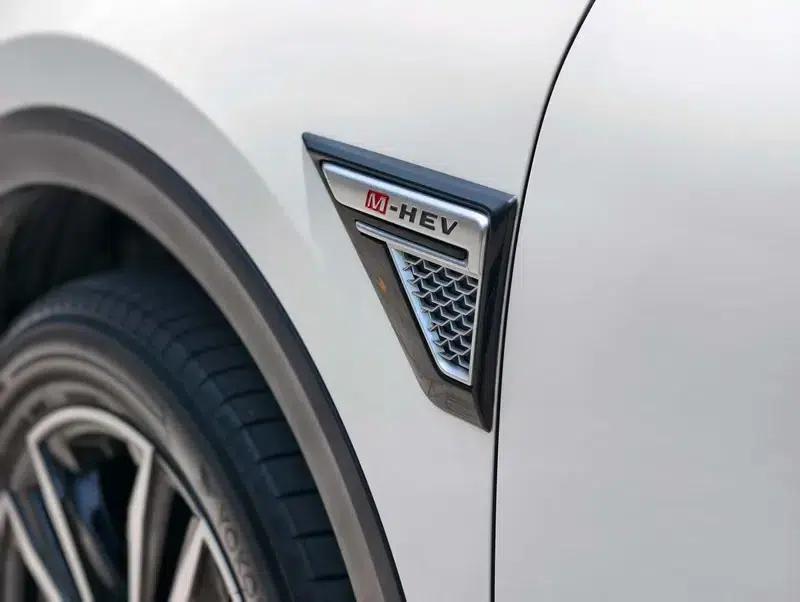Venucia Star 2022 260T 48V Mild Hybrid Turbocharged Star Edition — миниатюра 13