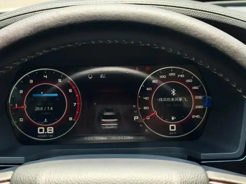 Venucia Star 2022 260T 48V Mild Hybrid Turbocharged Star Edition — миниатюра 15