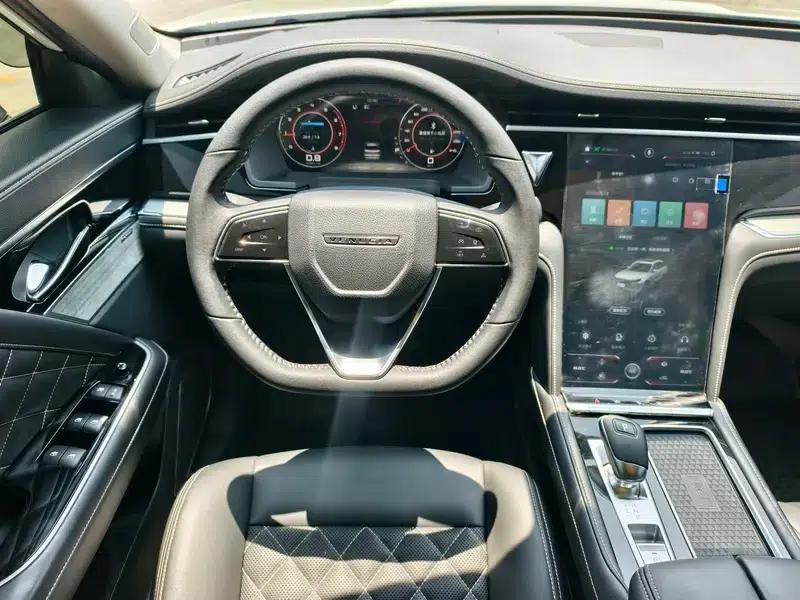 Venucia Star 2022 260T 48V Mild Hybrid Turbocharged Star Edition — миниатюра 16