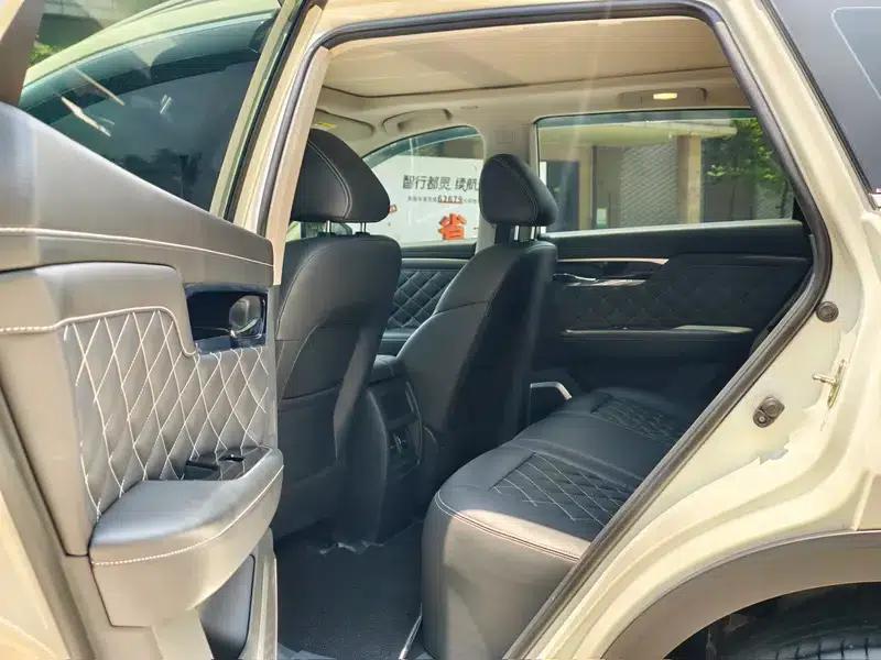 Venucia Star 2022 260T 48V Mild Hybrid Turbocharged Star Edition — миниатюра 18