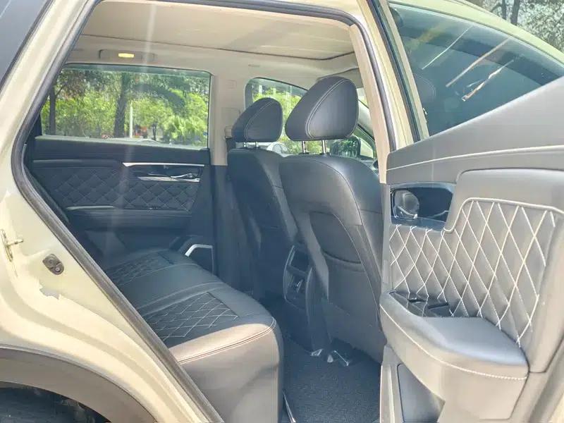 Venucia Star 2022 260T 48V Mild Hybrid Turbocharged Star Edition — миниатюра 20