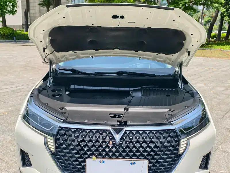 Venucia Star 2022 260T 48V Mild Hybrid Turbocharged Star Edition — миниатюра 8