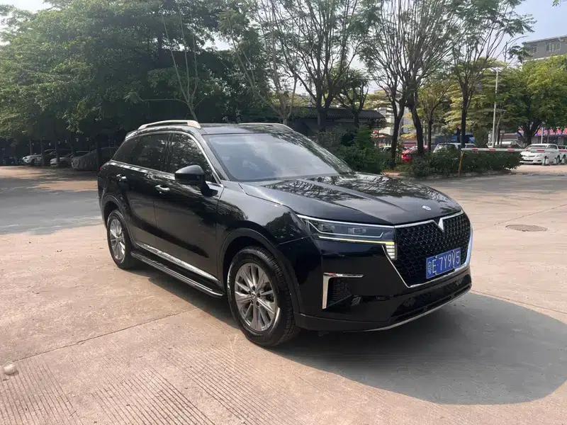 Venucia Star 2022 260T Automatic Star Edition — миниатюра 3