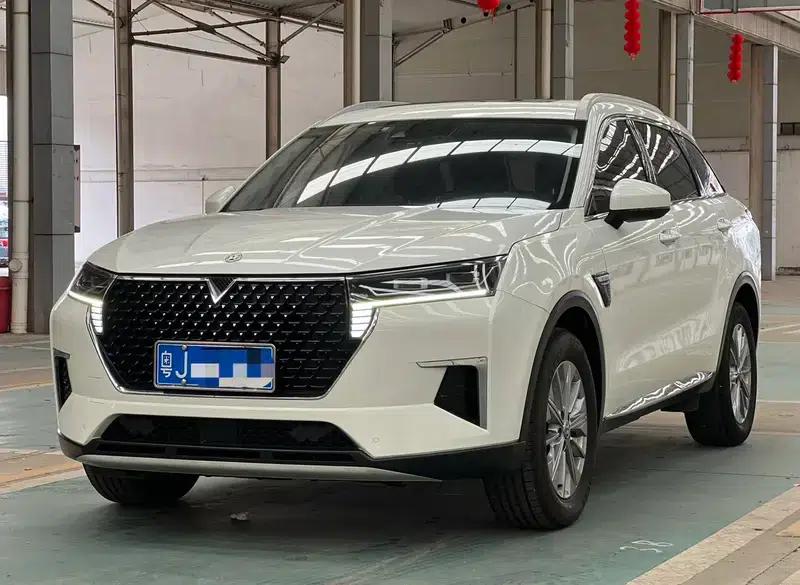 Venucia Star 2020 260T 48V Mild Hybrid Turbocharged Star Enjoy Edition — миниатюра 1