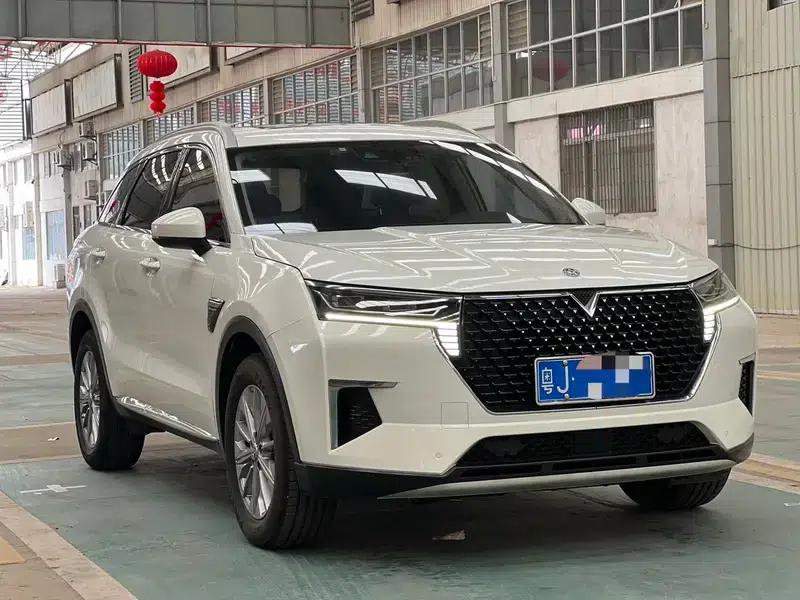 Venucia Star 2020 260T 48V Mild Hybrid Turbocharged Star Enjoy Edition — миниатюра 3