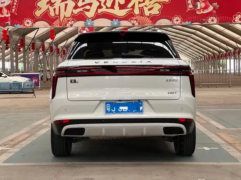 Venucia Star 2020 260T 48V Mild Hybrid Turbocharged Star Enjoy Edition — миниатюра 5