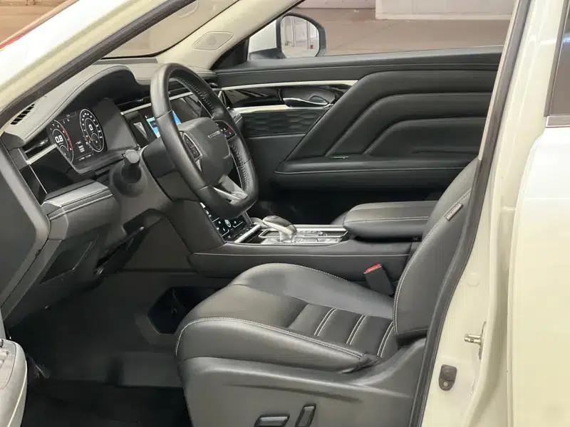 Venucia Star 2020 260T 48V Mild Hybrid Turbocharged Star Enjoy Edition — миниатюра 8