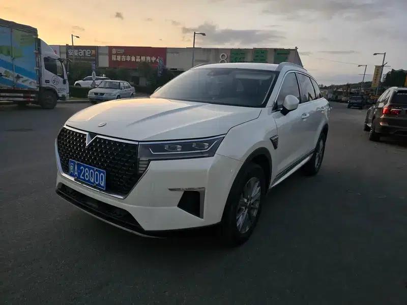 Venucia Star 2020 260T 48V Mild Hybrid Turbocharged Star Enjoy Edition — миниатюра 1