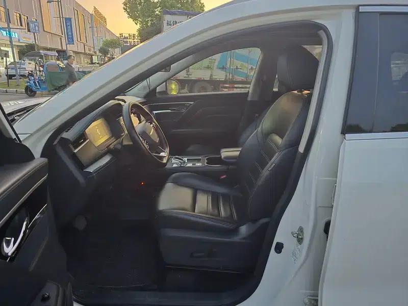 Venucia Star 2020 260T 48V Mild Hybrid Turbocharged Star Enjoy Edition — миниатюра 11